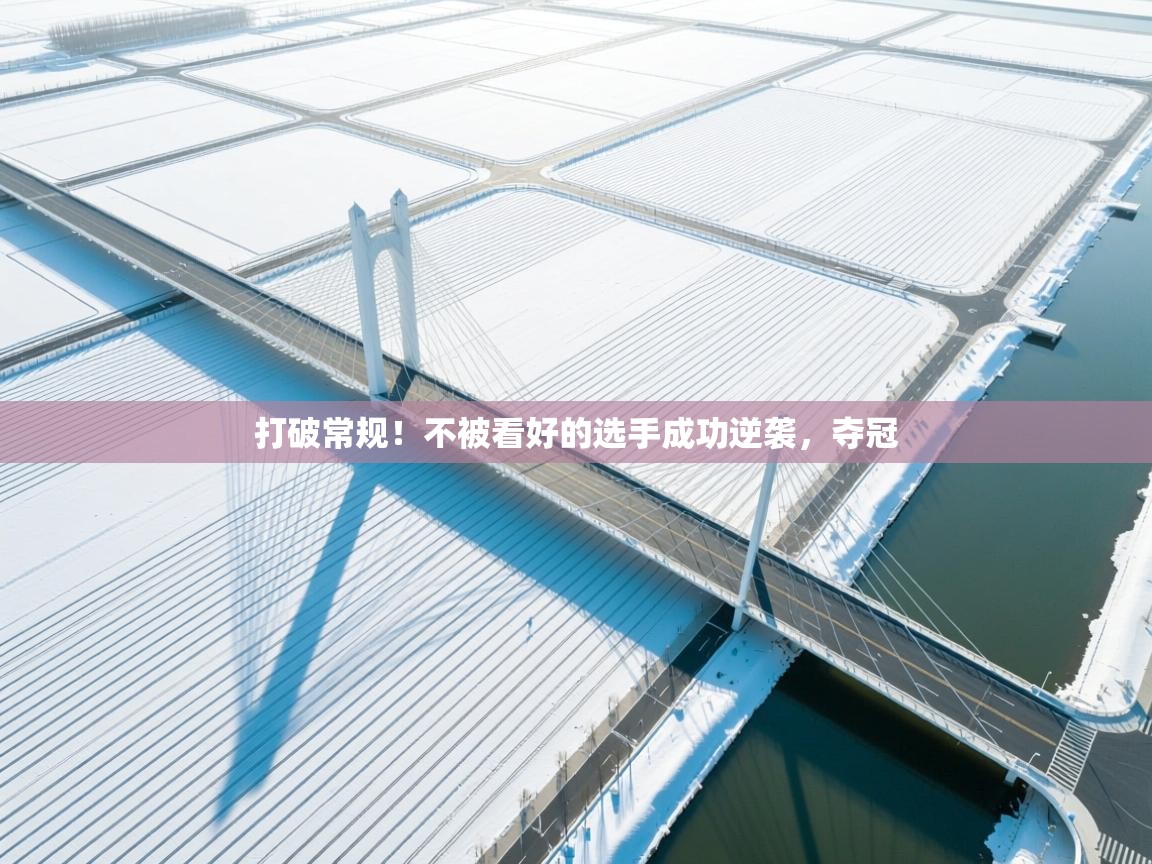 打破常规!不被看好的选手成功逆袭,夺冠 第1张