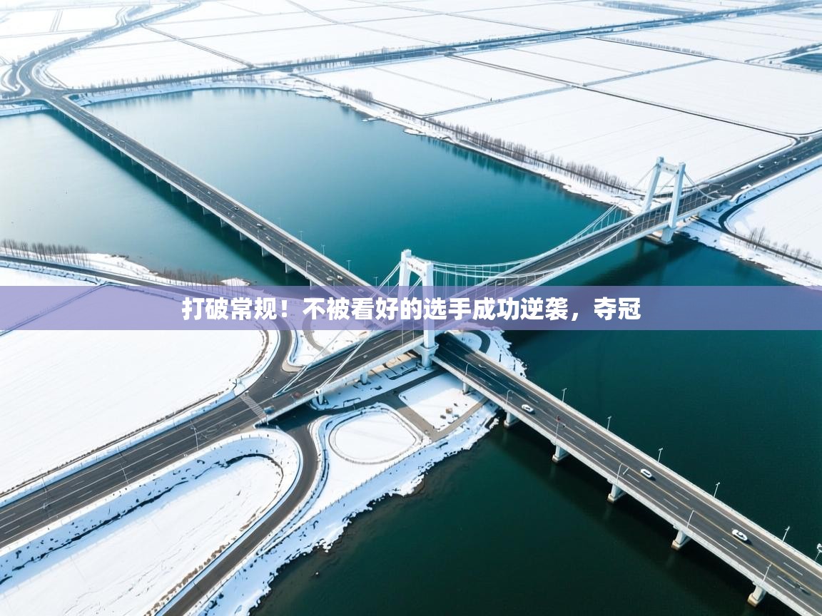 打破常规!不被看好的选手成功逆袭,夺冠 第2张