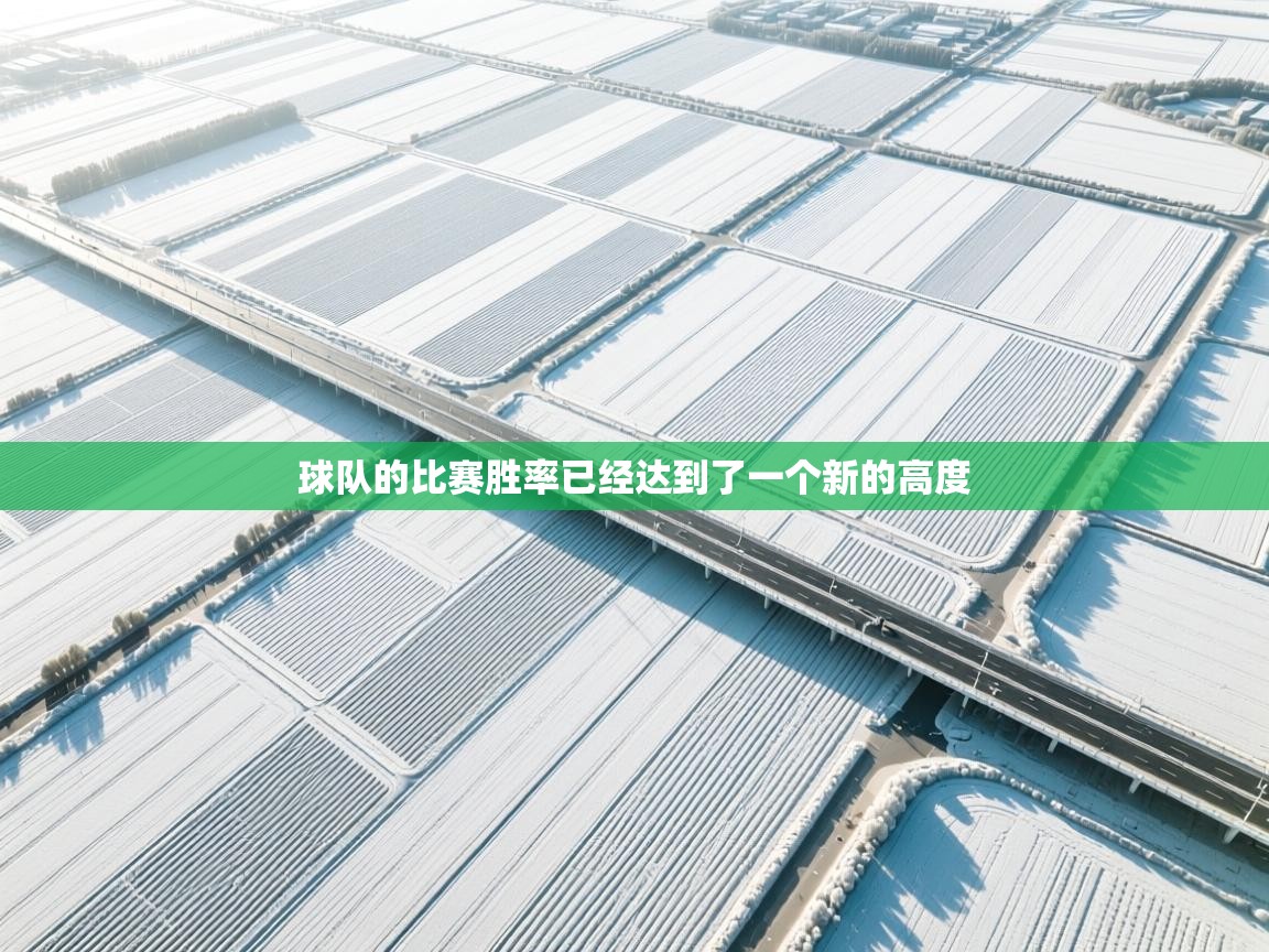 球队的比赛胜率已经达到了一个新的高度  第1张